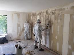 Biohazard Mold Removal in Bakersfield Country Clu, CA